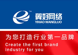 河北地区优质网站优化与开发公司推荐与分析